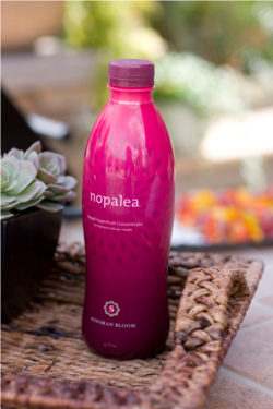 Nopalea Reviews Bottle