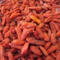 Tibetan Goji Berries