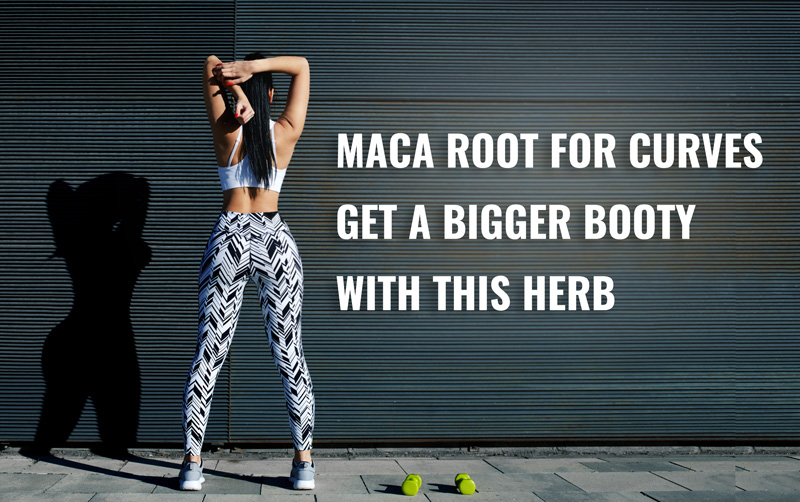 Maca Root Pills For Curves