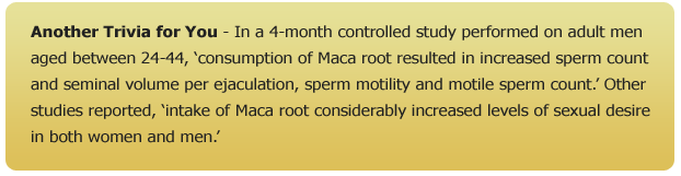 maca-root-results-trivia2