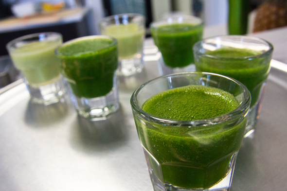 Wheatgrass Detox