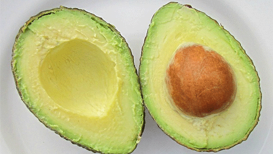 avocada