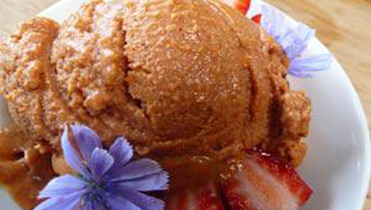 Goji berry Ice Cream Recipe