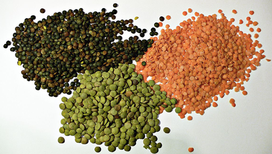 Lentils