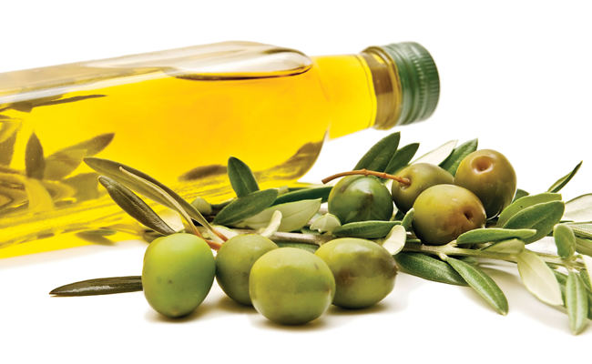 olive-oil-branch