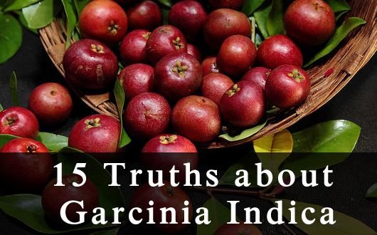 Truths Aabout Garcinia Indica