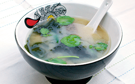 Miso Soup 