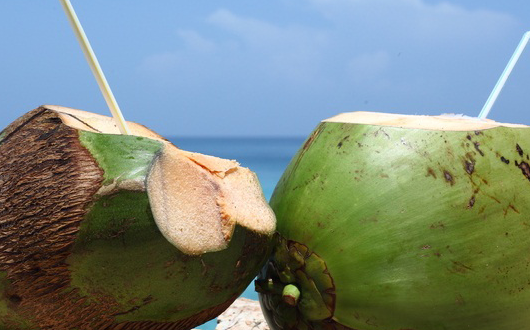 Coconut