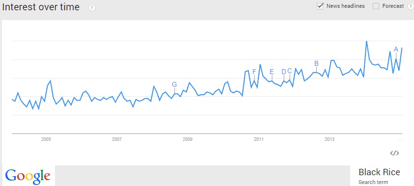 BlackRiceGoogleTrend
