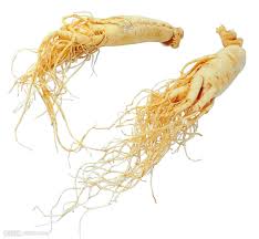 Ginseng