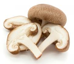 Mushroom