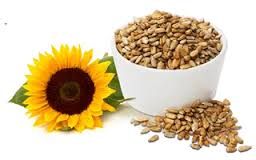 SunFlower Seeds