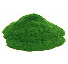 chlorella