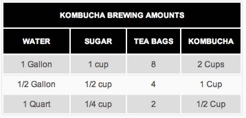 Kombucha Brewing Amount