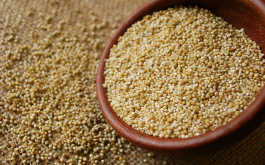 Quinoa