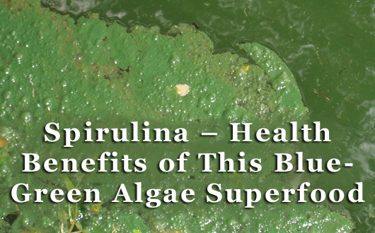 Spirulina