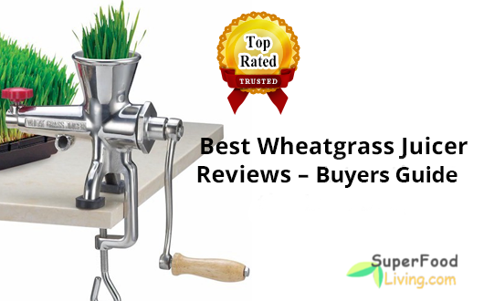 10 Best Wheatgrass Juicer Reviews 2020
