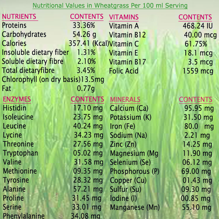 Wheatgrass-Benefits