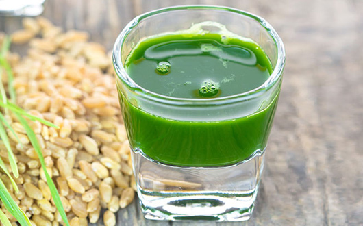 Wheatgrass