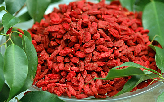 Benefits of Tibetan Goji Berries