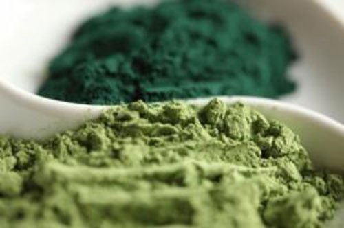  Spirulina and Chlorella