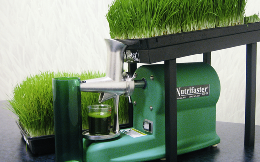 Wheatgrass Juicer