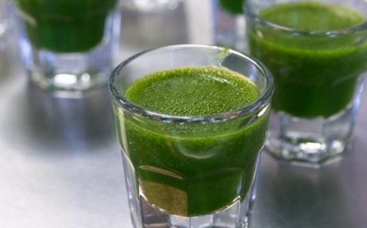 Wheatgrass Juice