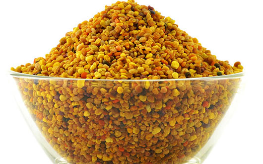 Benefits of Bee Pollen