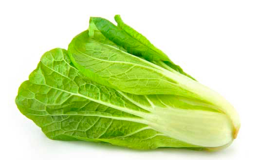 romaine