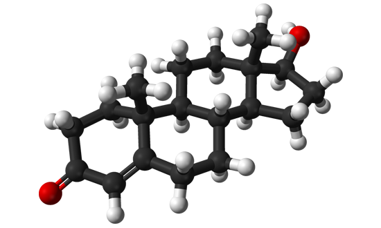 Testosterone-from-xtal-3D-balls