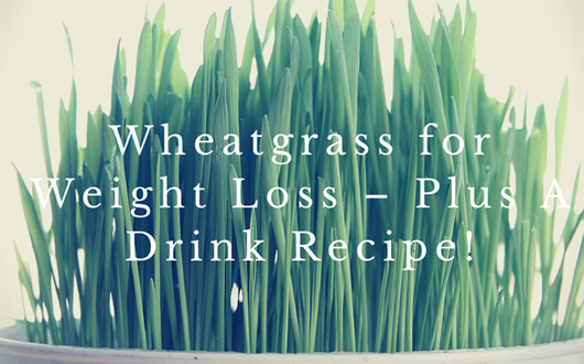 Wheatgrass Benefits, Recipes & How to Grow1