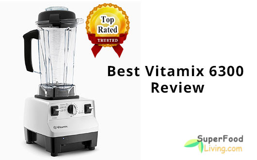 Vitamix 6300 Review